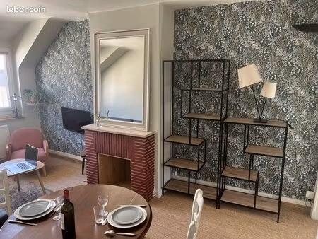 charmant appartement meublé 2 pièces angers centre