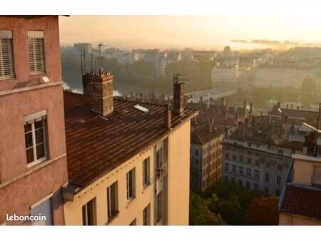 type loft 35m2  hyper centre lyon