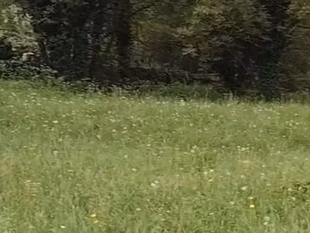 loue terrain de loisir