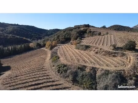 location de terrains agricoles dans les communes de rasiguères et tautavel