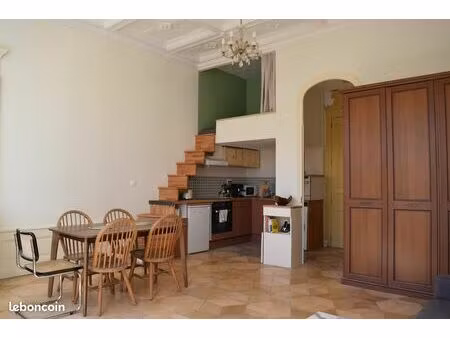 t1 bis lumineux centre ville