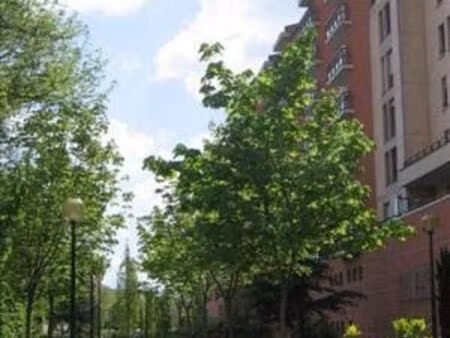 t1 bis 31 m² + grand balcon donnant sur la coulée verte  arsenal bazacle capitole proche p