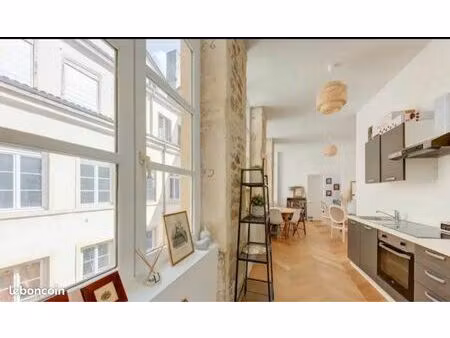 t2 lumineux avec cachet - bas des pentes 39 5m2 - lyon 1er