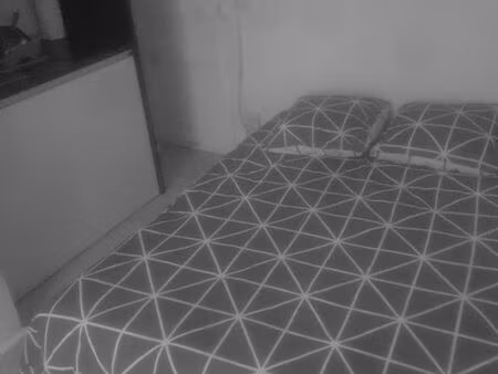 sous location studette paris 15