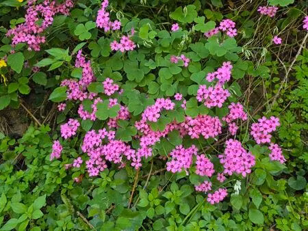 recherche appartement t2