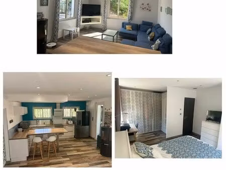 maison individuelle-plain-pied avec piscine-vue étang