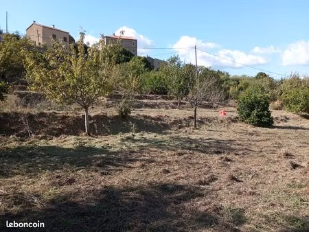 vente terrain petreto-bicchisano