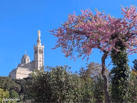 marseille les beaux quartiers sud -grande maison de famille et sa dependance dans un jardi