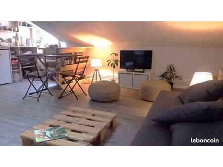 t1 meublé 28 m2 – lyon - plateau croix rousse