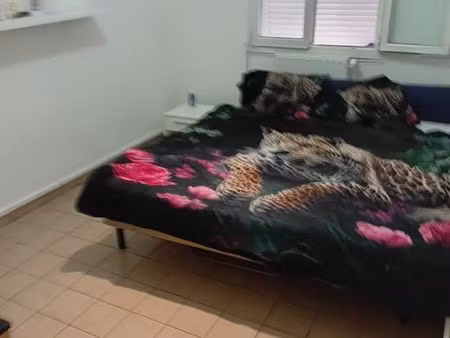 sous location t3 meuble