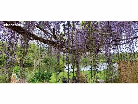 maison bord de saone