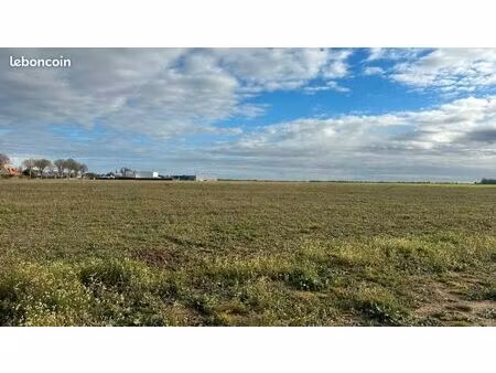 terrain 440 m² creully