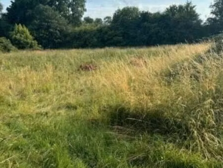 terrain agricole  loisirs  autres genres