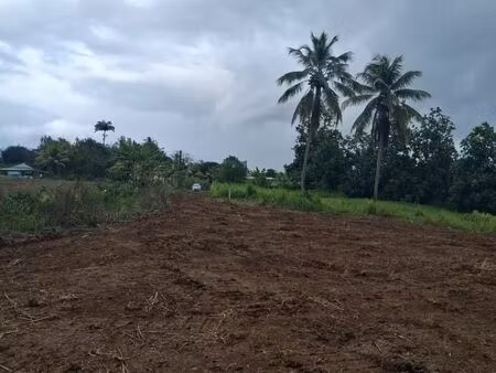 terrain 1 353 m² lamentin