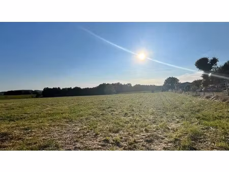 vente terrain à salles-de-barbezieux (16300)  43 500 €
