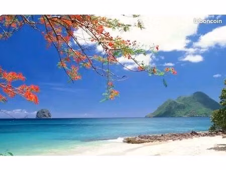 très joli t2 meublé situé au diamant martinique