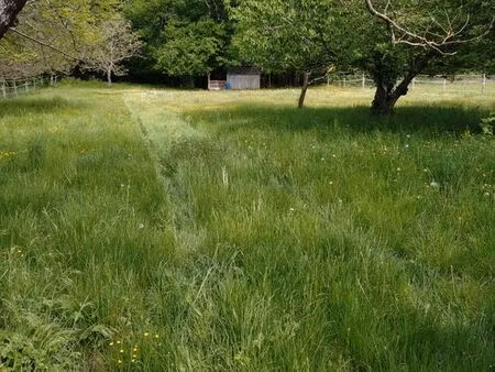 loue terrain 3000 m2