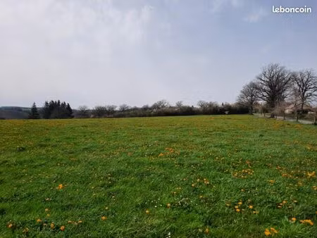 terrain 1 500 m² roannes saint mary