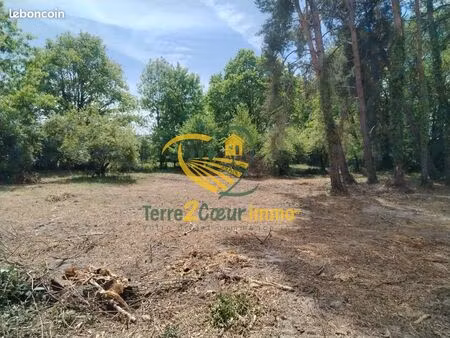 terrain 2319 m² allogny