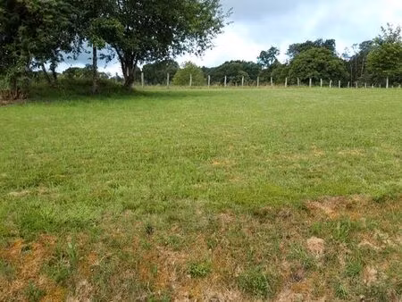 terrain constructible 1210m2