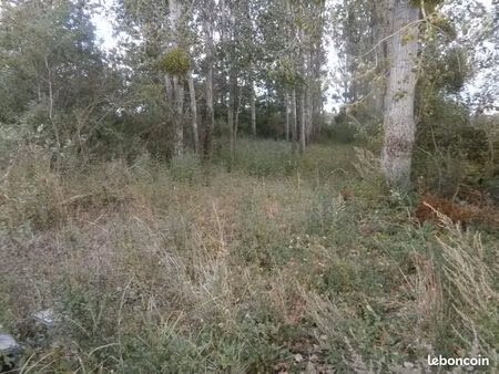 terrain 2 370 m² saint georges sur la pree