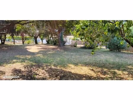 terrain arboré constructible 815m2 île d'oléron