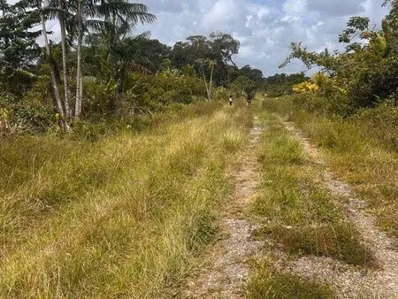 terrain agricole 2 hectares quesnel ouest