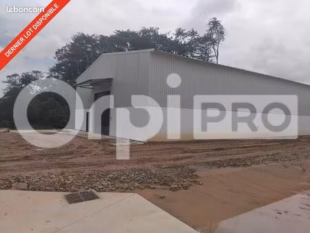 local d'activité 381 m²