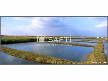 local 460 m² marennes