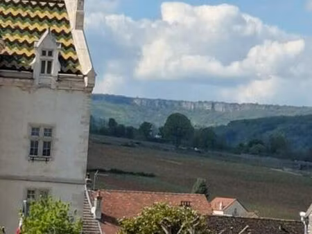 appartement t3 centre de meursault