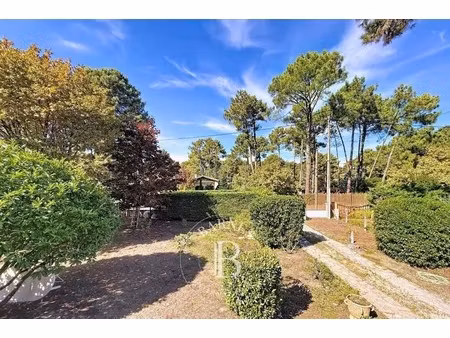 maison de luxe à vendre dans le quartier centre cap ferret