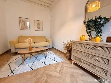 appartement t1 bis centre historique