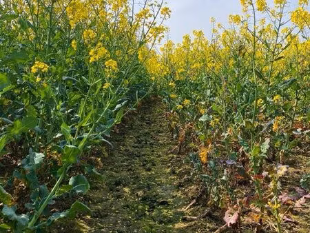 recherche t3/t2 non meublé