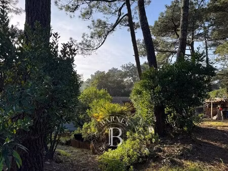 villa de luxe à vendre dans le quartier centre cap ferret
