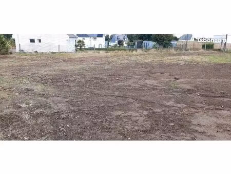 terrain constructible