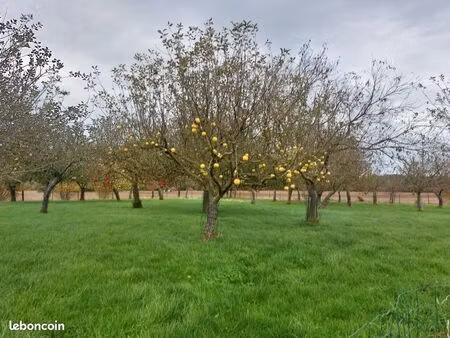 terrain non constructible