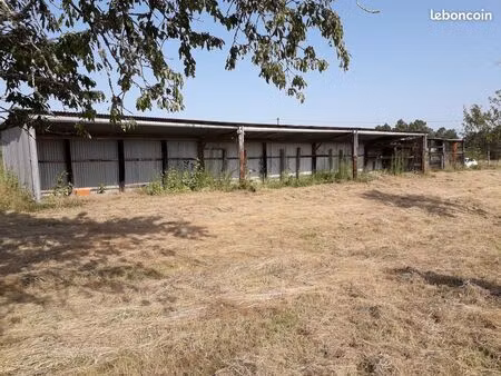 terrain constructible de 6 246 m² à vendre – échourgnac (lieu-dit les chaumes)