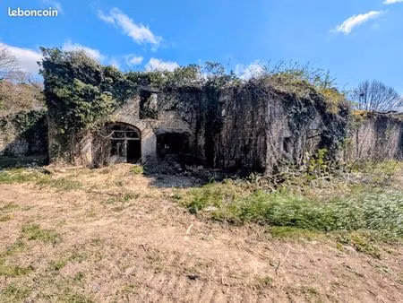 ruine sur 1000m² de terrain