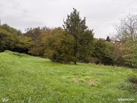 terrain 813 m² chemaudin