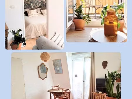 41m2  bord de seine  balcon  parking possible