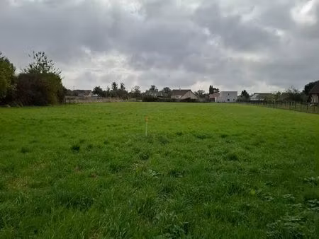 grand terrain constructible