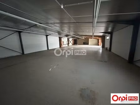 local d'activité 480 m²