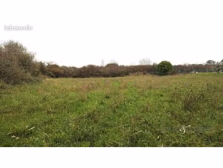 terrain 1355 m² camaret sur mer