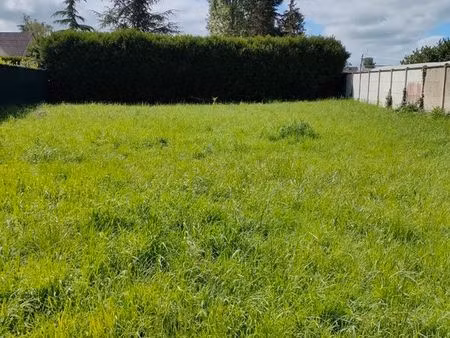 terrain constructible