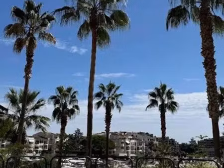 vente commerce 1 pièce 55 m² cannes (06150)