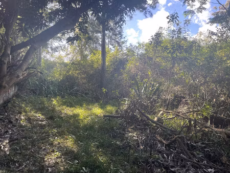 vente terrain 845 m² le tampon (97430)