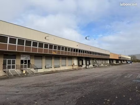 local logistique 10 391 m²