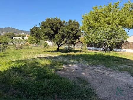 vente terrain 1208 m² à bormes-les-mimosas (83230)  588 000 €