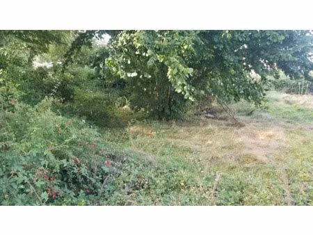 vente terrain 785 m² à camarsac (33750)  90 000 €
