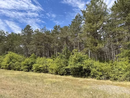vente terrain à nogent-sur-vernisson (45290)  1 043 000 €